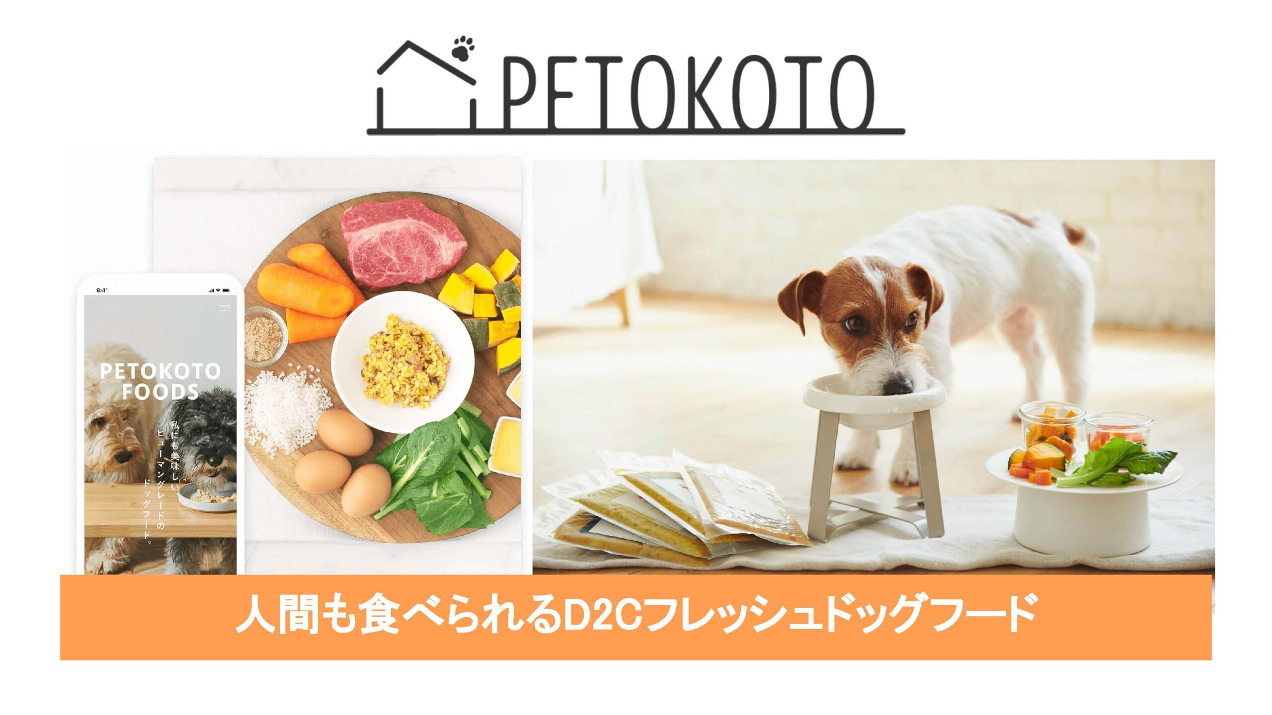 愛犬のためのカスタムフレッシュフード Petokoto Foods Monthly Pitch